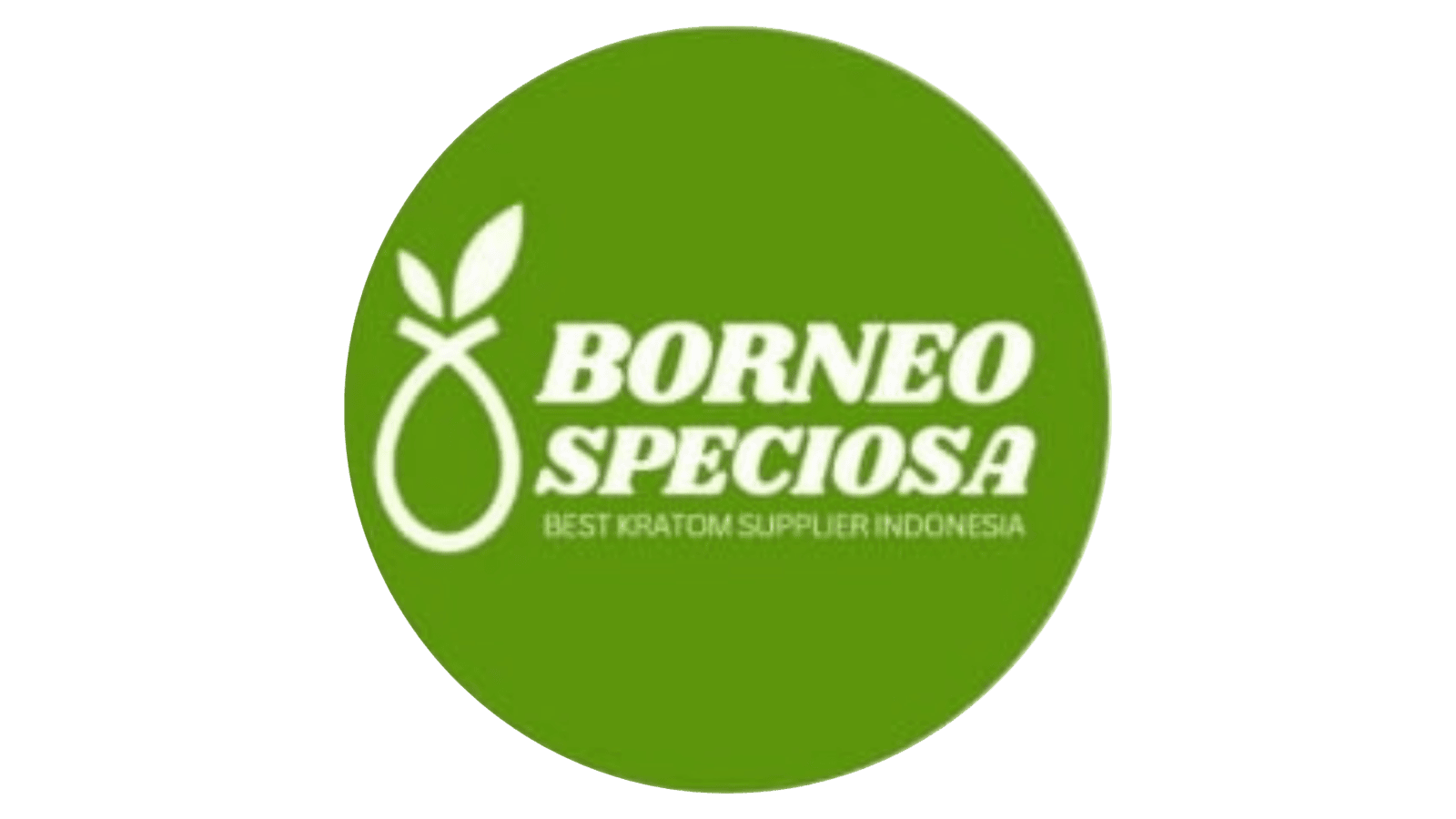 Borneo Speciosa
